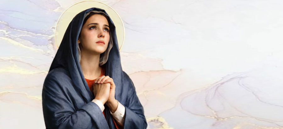 1° Maggio 2026 - Professione Perpetua