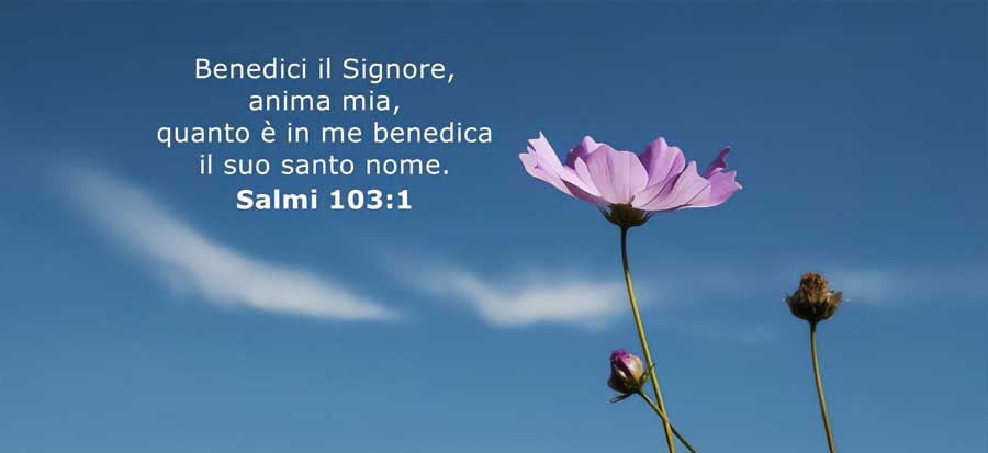“Benedici il Signore, anima mia” (Sal 103,1). Ingressi in Probandato, Noviziato e Prima Professione